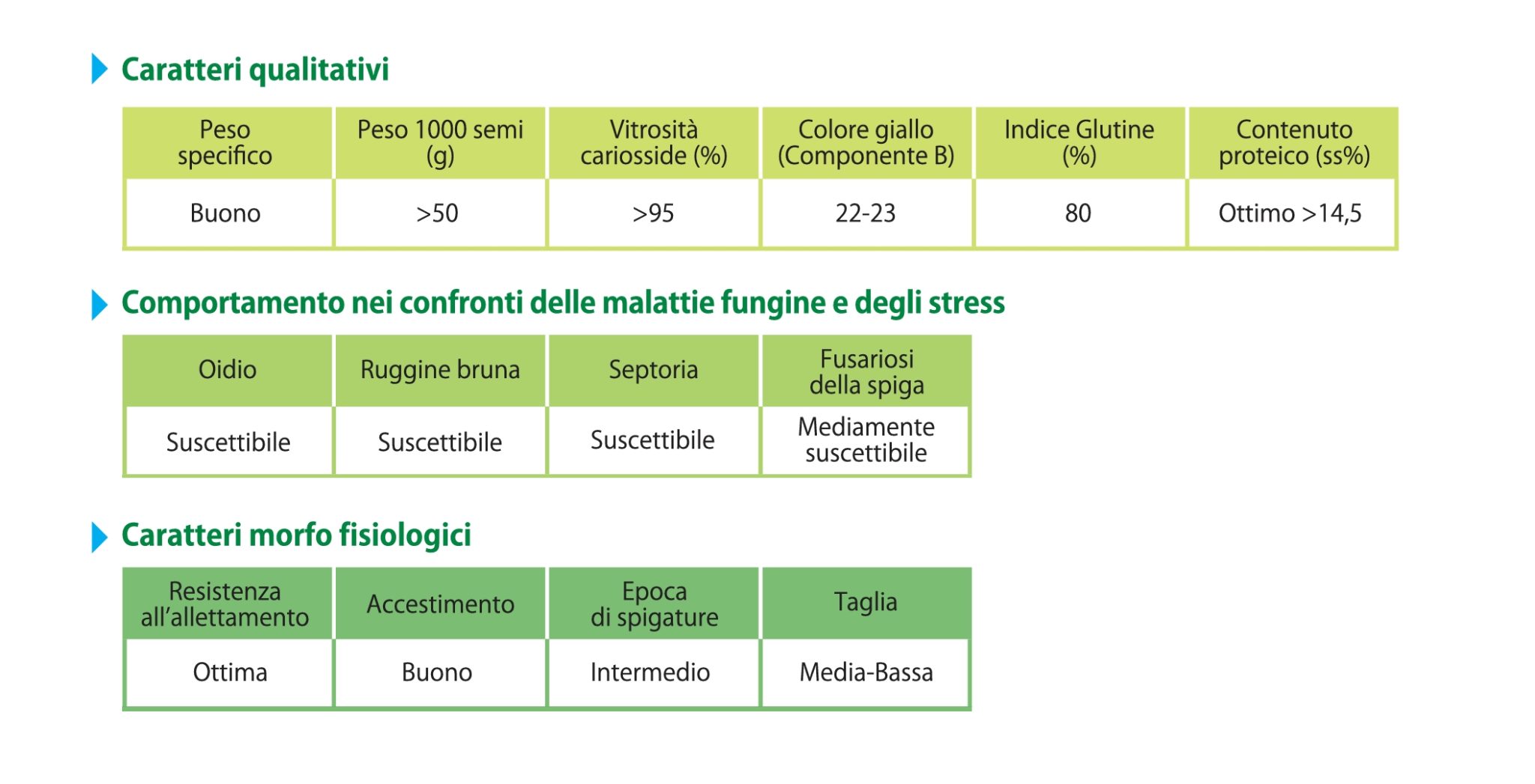 Reale - scheda